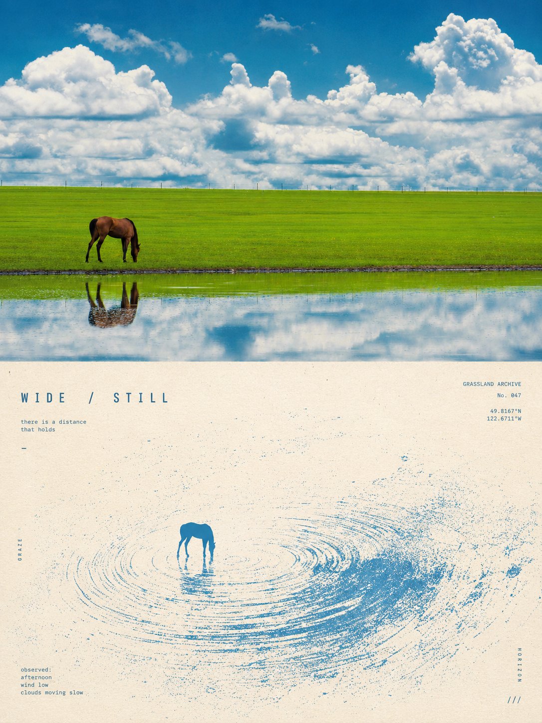 Surreal dynamic-field print