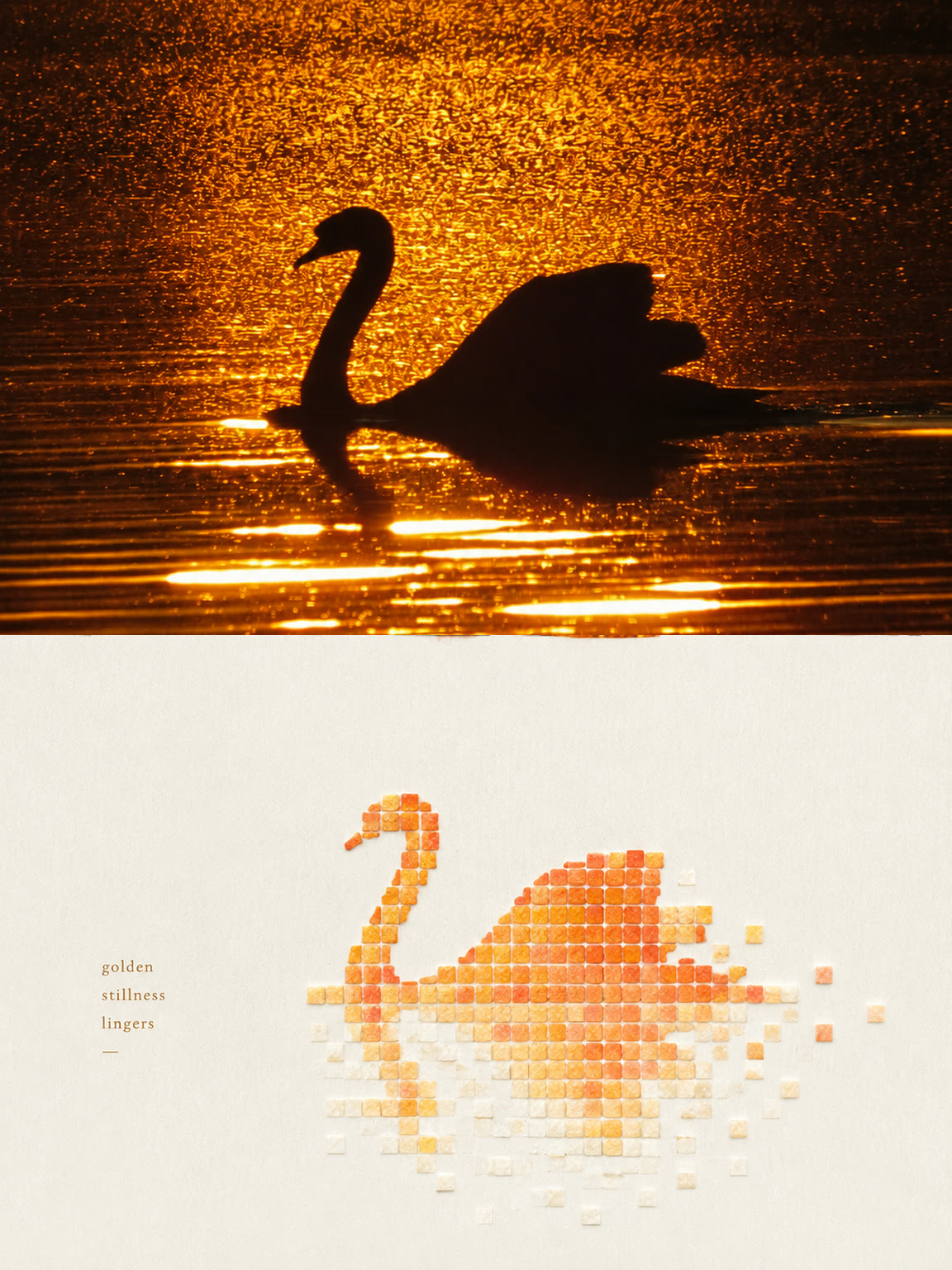 Shell-fragment pixel collage