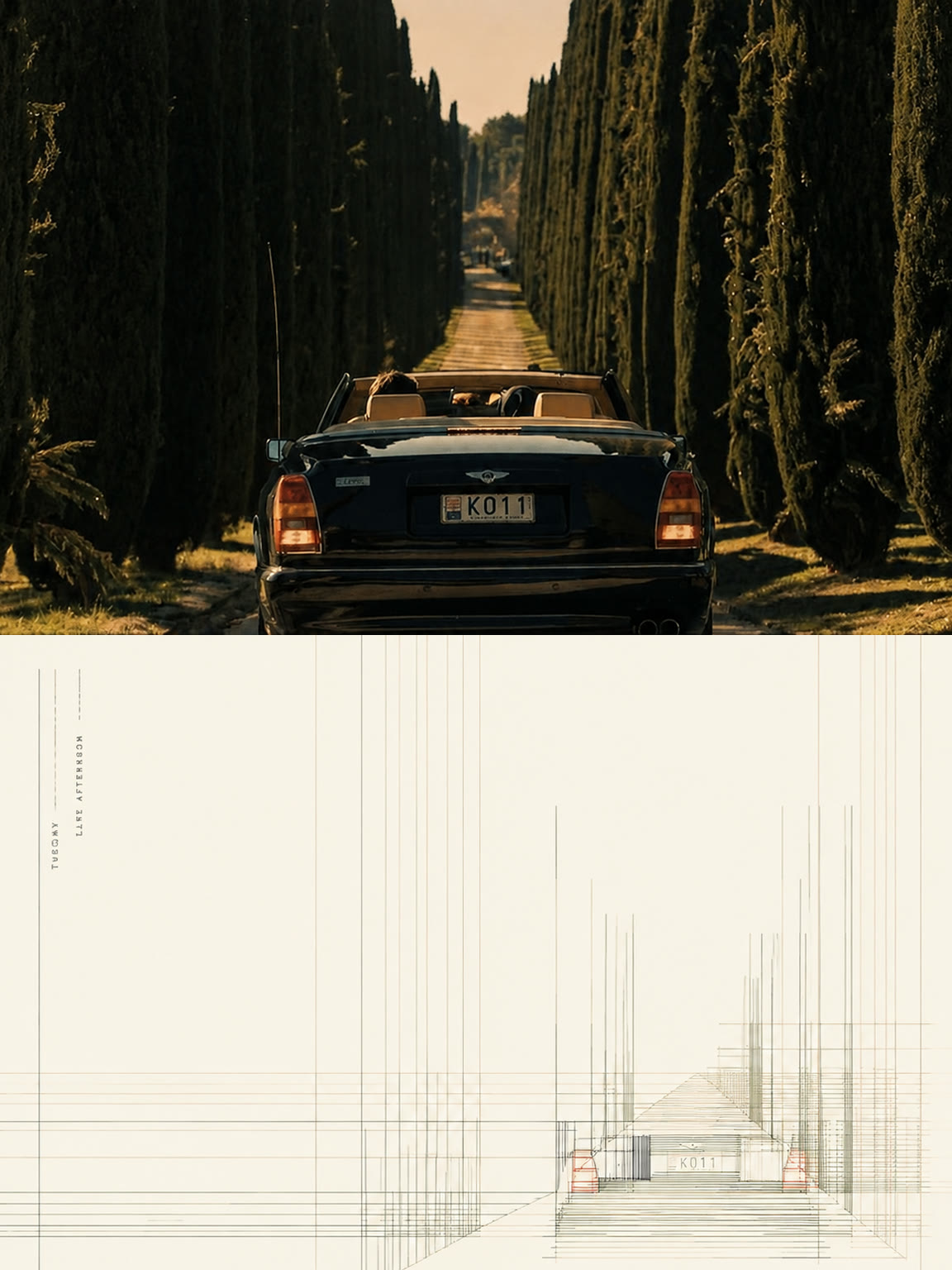 Text-encoded line field